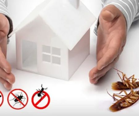 Guardian Pest And Termite