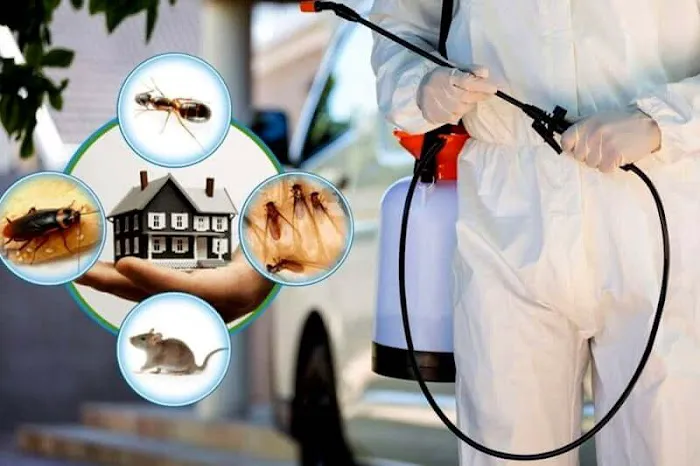 Guardian Pest And Termite Picture 3