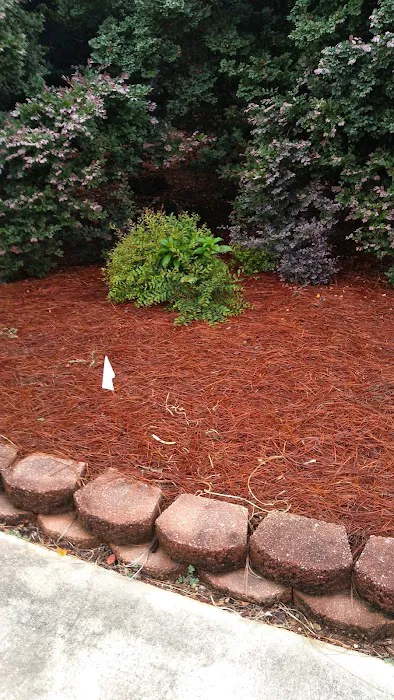 Terminix Picture 9