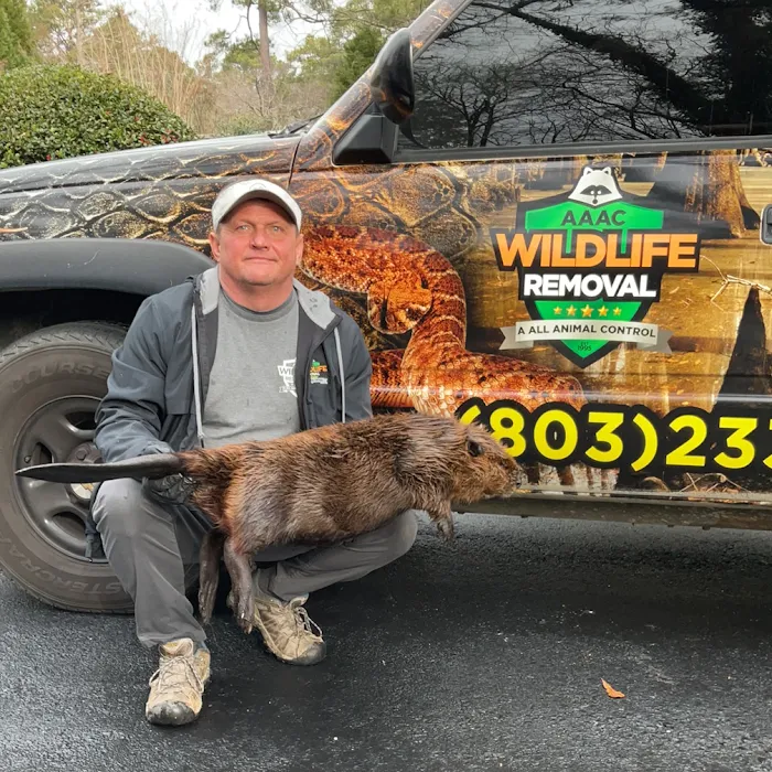 AAAC Wildlife Removal of South Carolina Picture 4