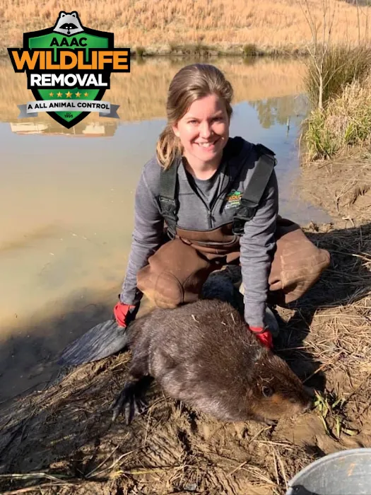 AAAC Wildlife Removal of South Carolina Picture 5