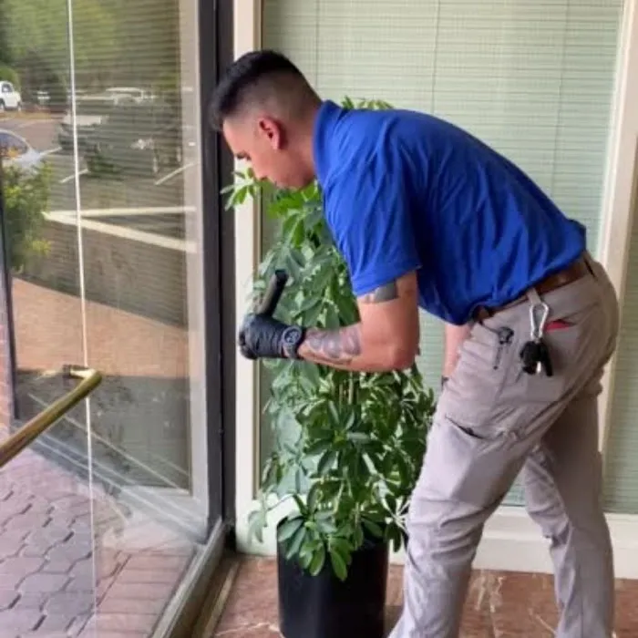 Americas Choice Pest Control Picture 4