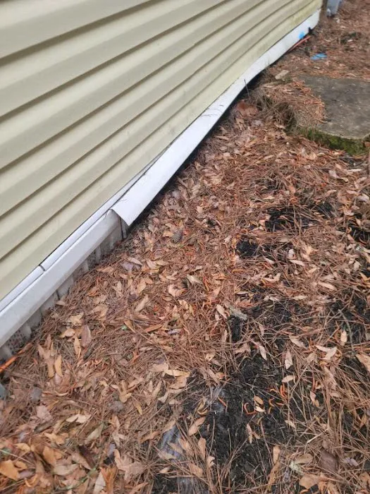 Ariails Termite & Pest Control Picture 1