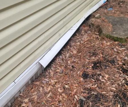 Ariails Termite & Pest Control