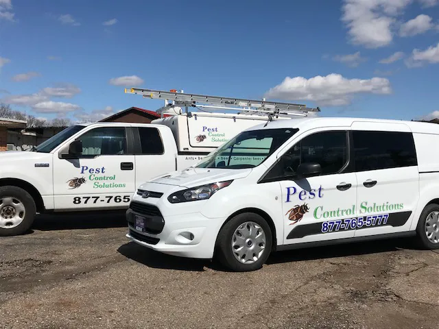 Pest Control Solutions Picture 1