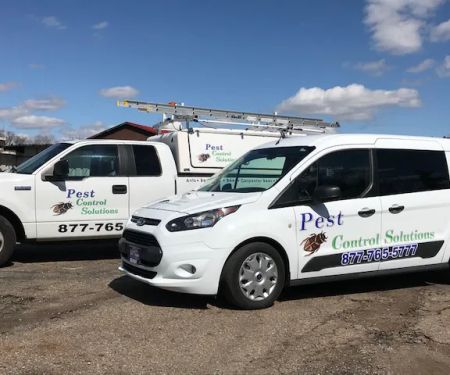 Pest Control Solutions
