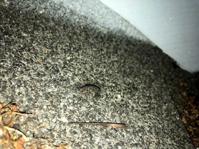Stewart Pest Solutions Picture 8
