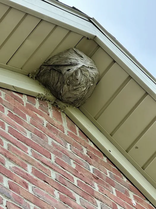 Stewart Pest Solutions Picture 3