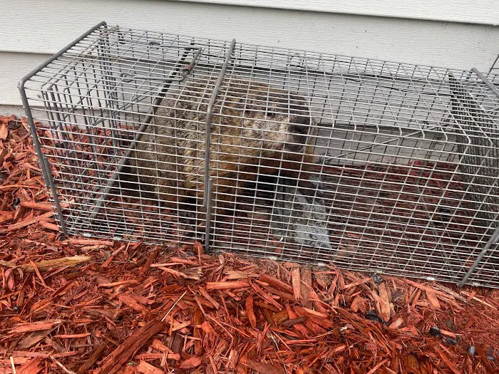 Stewart Pest Solutions Picture 7