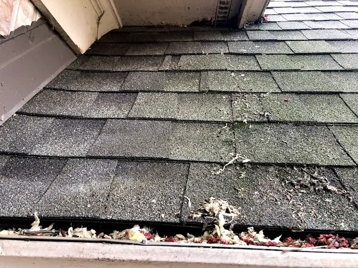 Stewart Pest Solutions Picture 2