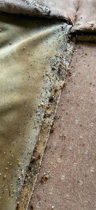 Powers Pest Control Picture 5