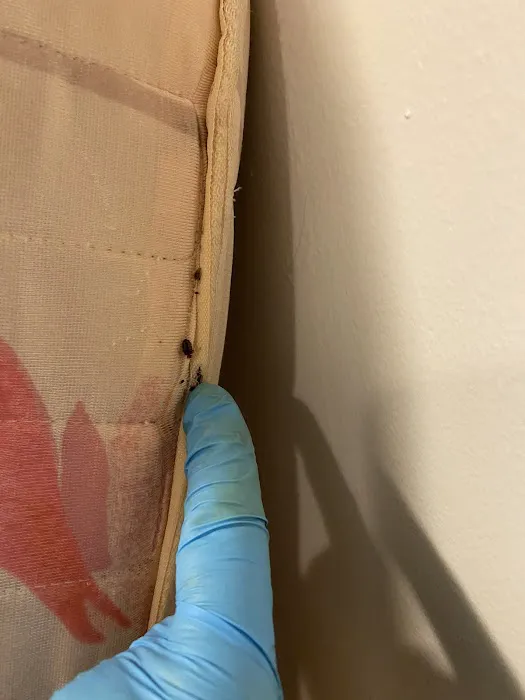 Powers Pest Control Picture 9