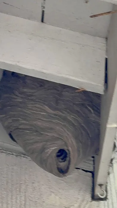 Powers Pest Control Picture 2