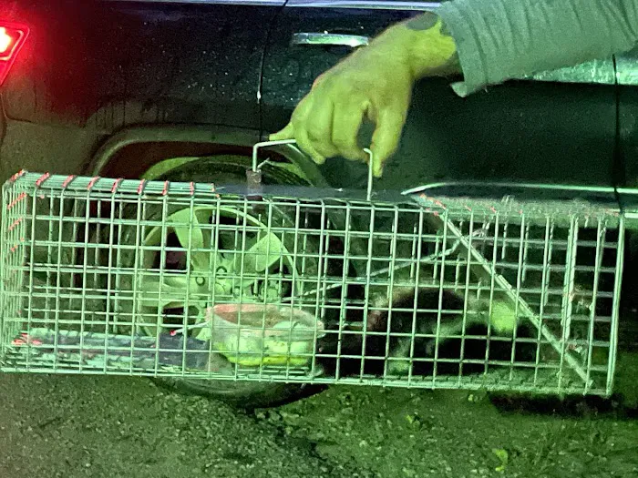 Bugzilla Pest Control, LLC Picture 4