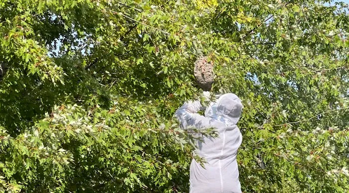 Bugzilla Pest Control, LLC Picture 9