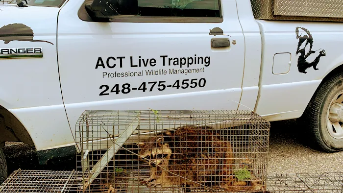 Act Live Trapping Services Picture 9