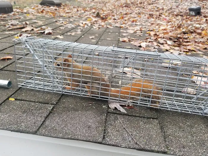 Prudential Pest Management, LLC Picture 8