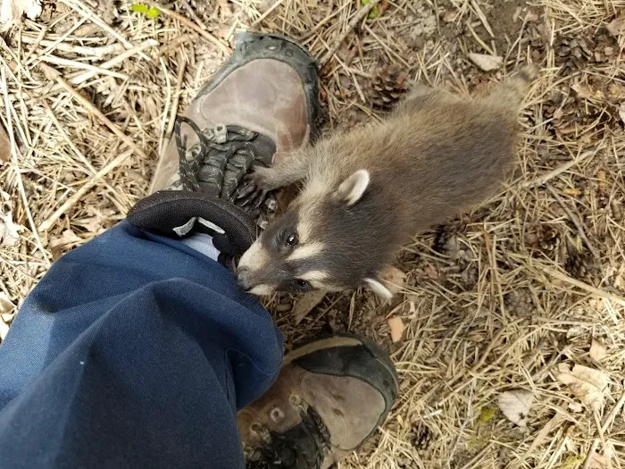 Prudential Pest Management, LLC Picture 7