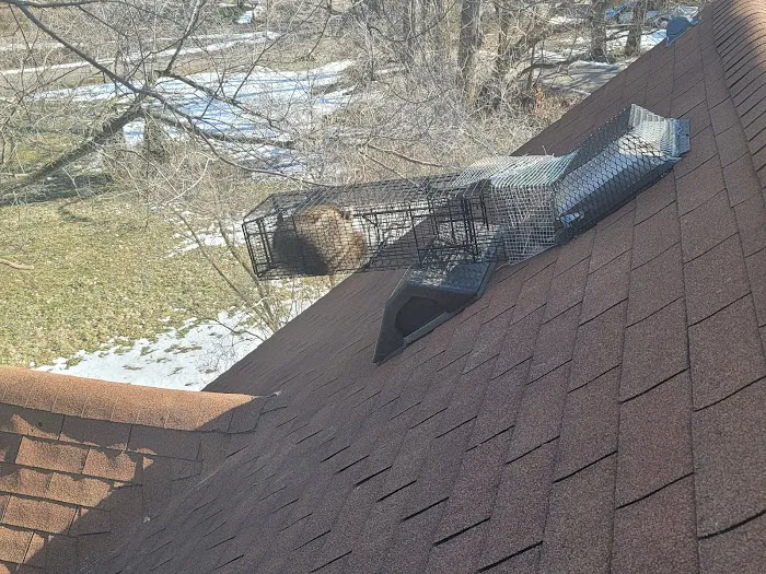 Prudential Pest Management, LLC Picture 3
