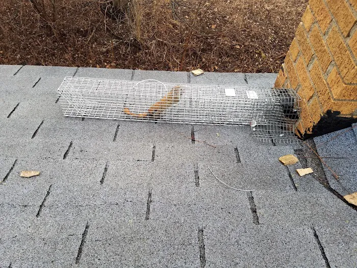 Prudential Pest Management, LLC Picture 5
