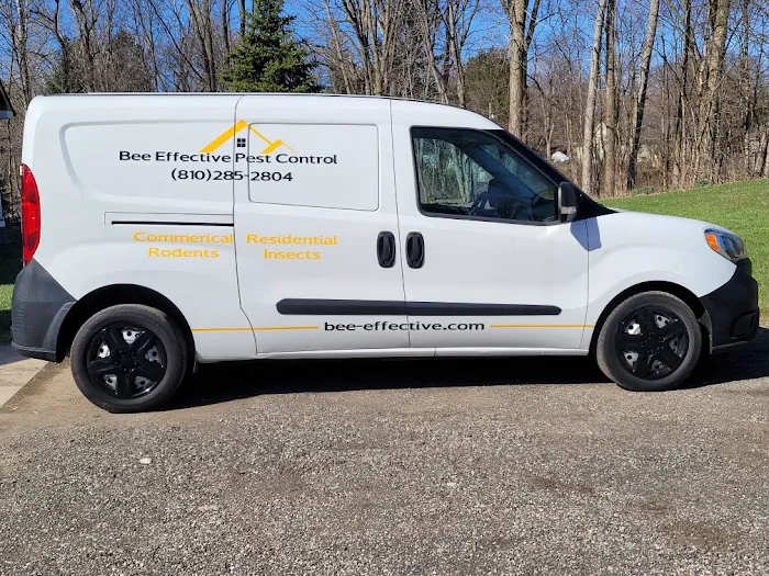 Bee Effective Pest Control LLC Picture 5