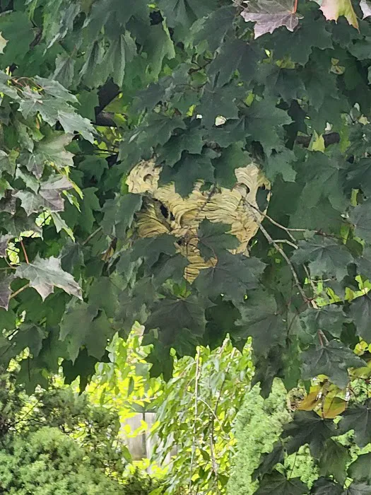 Bee Effective Pest Control LLC Picture 2