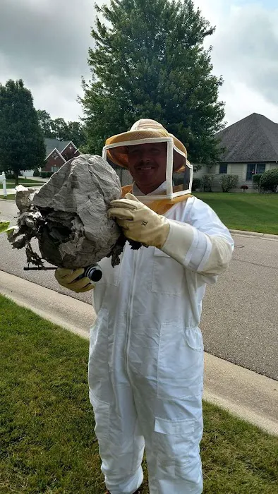 All-N-One Pest Control Picture 1