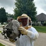 All-N-One Pest Control