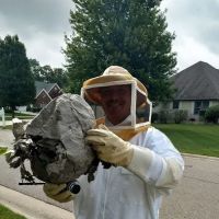 All-N-One Pest Control ico
