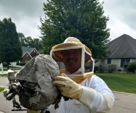 All-N-One Pest Control