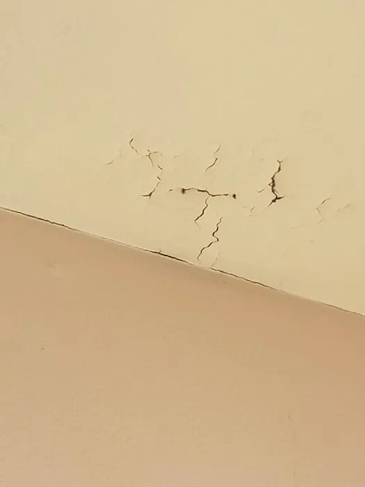All-N-One Pest Control Picture 8