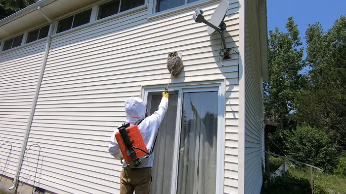 Wells Pest Control Picture 3