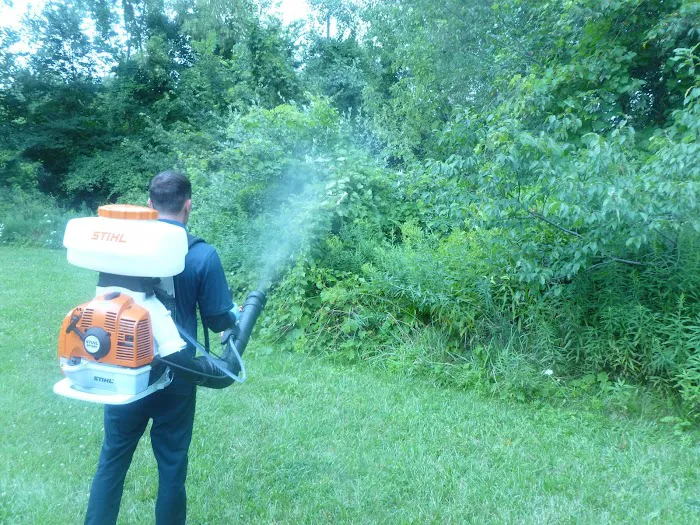 Wells Pest Control Picture 8