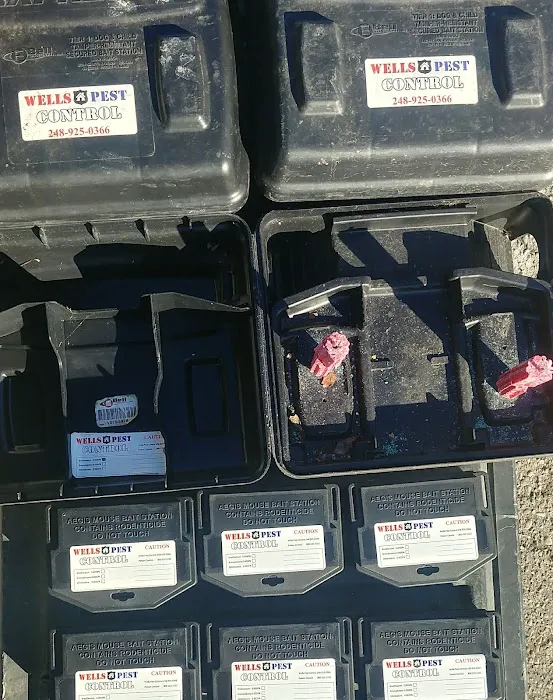 Wells Pest Control Picture 10