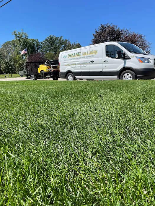 Dynamic Lawn & Landscape Picture 4