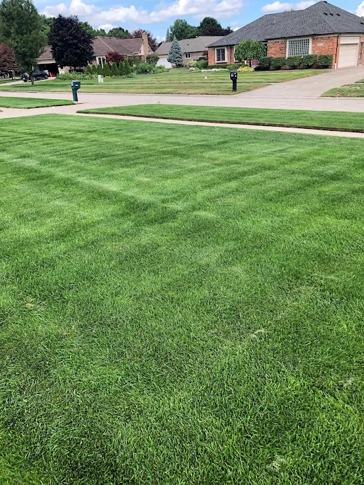 Dynamic Lawn & Landscape Picture 9