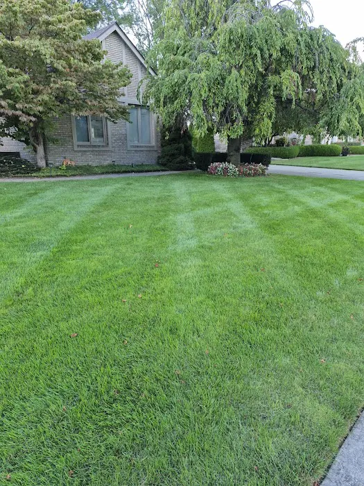 Dynamic Lawn & Landscape Picture 3