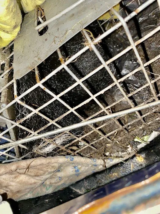 King James Wildlife Trapper Picture 9