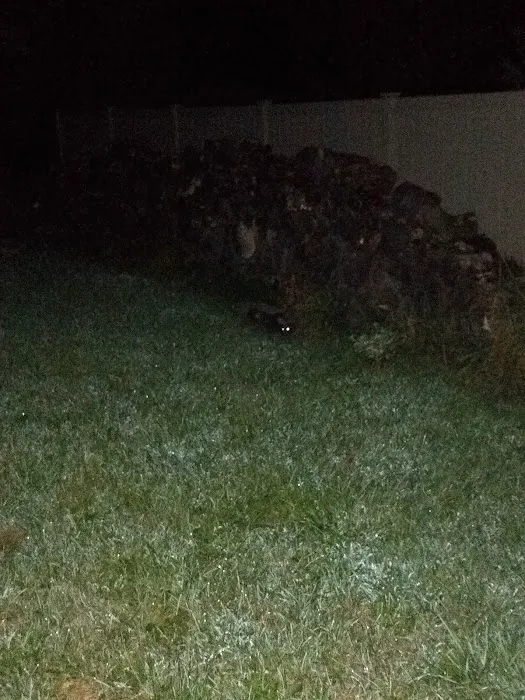 King James Wildlife Trapper Picture 4