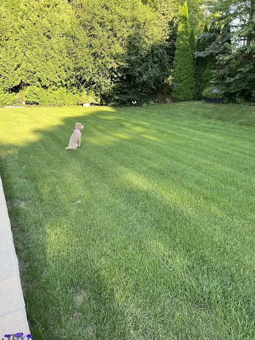 Natural Way Lawn, Tree & Pest Control Service Picture 5