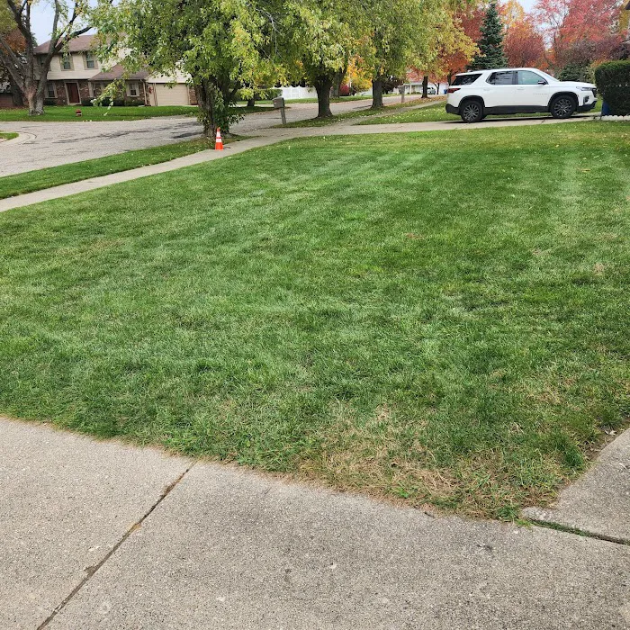 Natural Way Lawn, Tree & Pest Control Service Picture 2