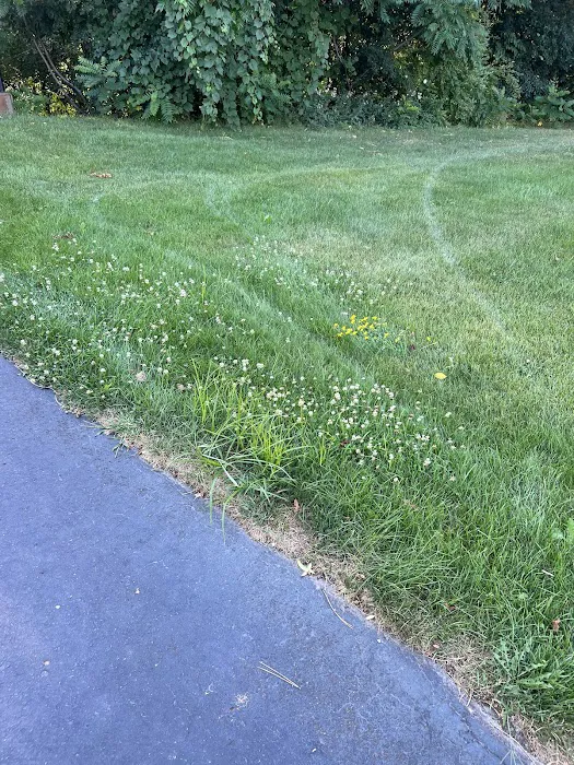 Natural Way Lawn, Tree & Pest Control Service Picture 7