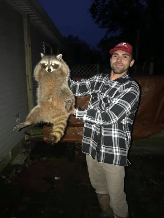 Precision Wildlife Removal Picture 10