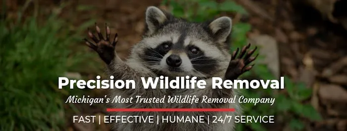 Precision Wildlife Removal Picture 2
