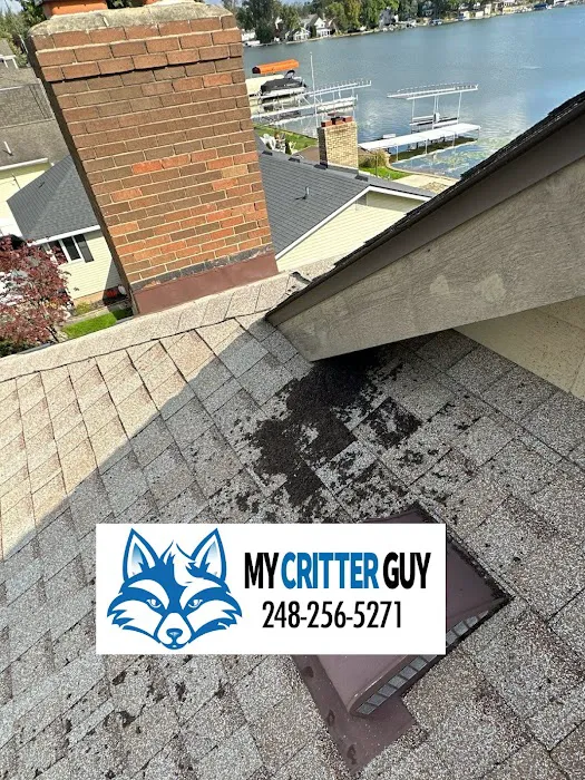 Bat Removal And Prevention, Inc. Picture 10