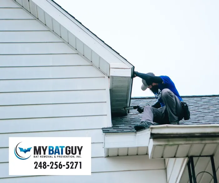 Bat Removal And Prevention, Inc. Picture 9