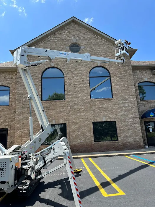 Bat Removal And Prevention, Inc. Picture 8