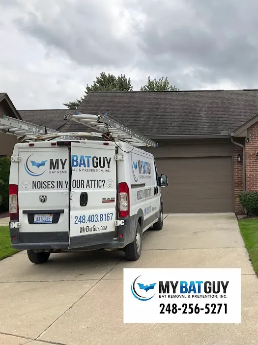 Bat Removal And Prevention, Inc. Picture 5
