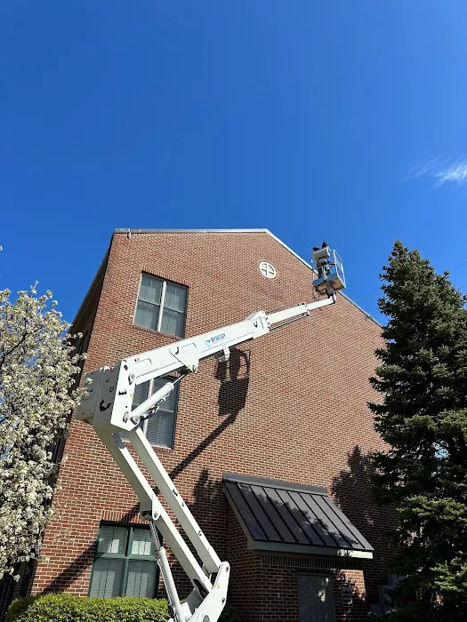 Bat Removal And Prevention, Inc. Picture 7