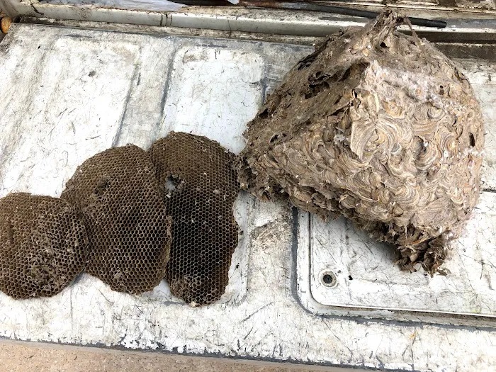 Veteran Pest Control(Military Veteran Owned) VA FHA Inspection's Picture 3